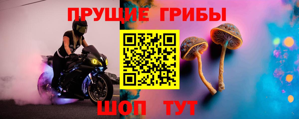 Искитим  Галлюциногенные грибы мицелий  Вход с VPN 